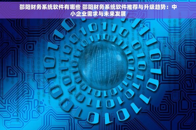 邵阳财务系统软件有哪些 邵阳财务系统软件推荐与升级趋势：中小企业需求与未来发展