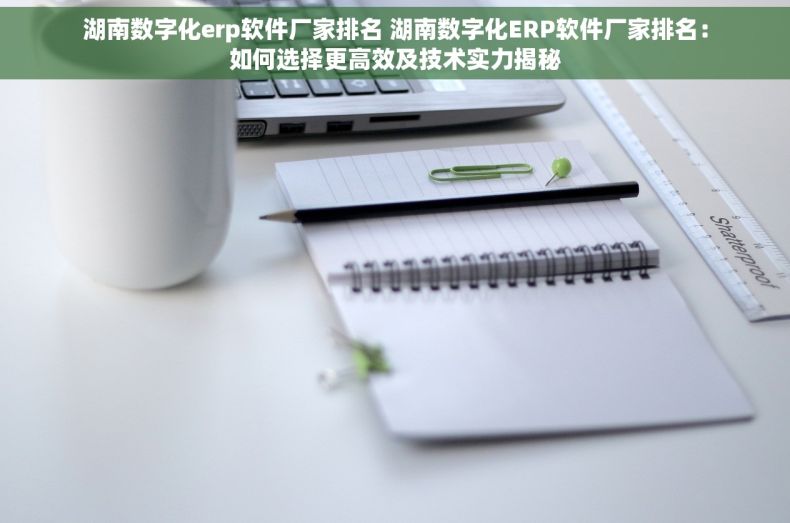 湖南数字化erp软件厂家排名 湖南数字化ERP软件厂家排名：如何选择更高效及技术实力揭秘
