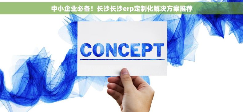 中小企业必备！长沙长沙erp定制化解决方案推荐