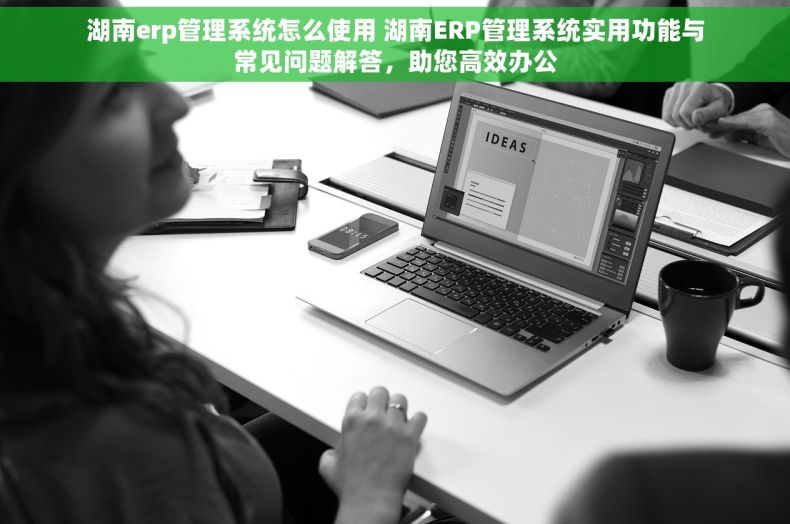 湖南erp管理系统怎么使用 湖南ERP管理系统实用功能与常见问题解答，助您高效办公