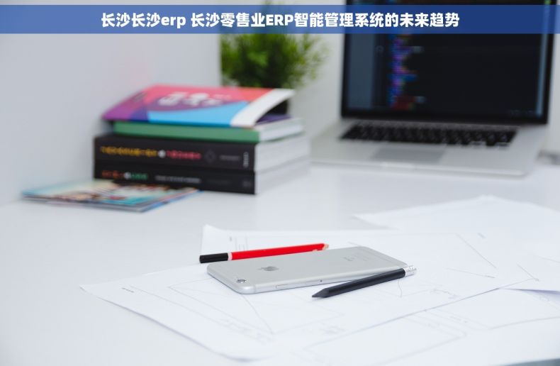 长沙长沙erp 长沙零售业ERP智能管理系统的未来趋势