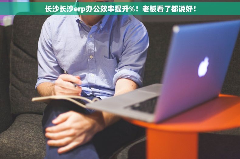 长沙长沙erp办公效率提升%！老板看了都说好！