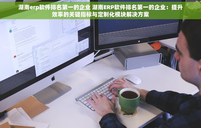 湖南erp软件排名第一的企业 湖南ERP软件排名第一的企业：提升效率的关键指标与定制化模块解决方案
