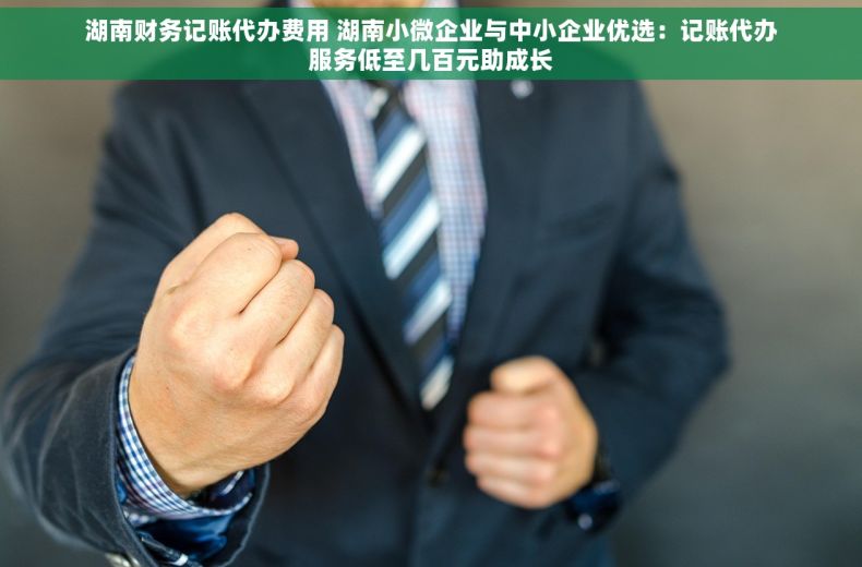 湖南财务记账代办费用 湖南小微企业与中小企业优选：记账代办服务低至几百元助成长