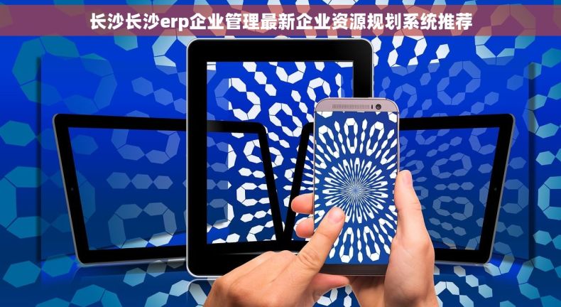 长沙长沙erp企业管理最新企业资源规划系统推荐