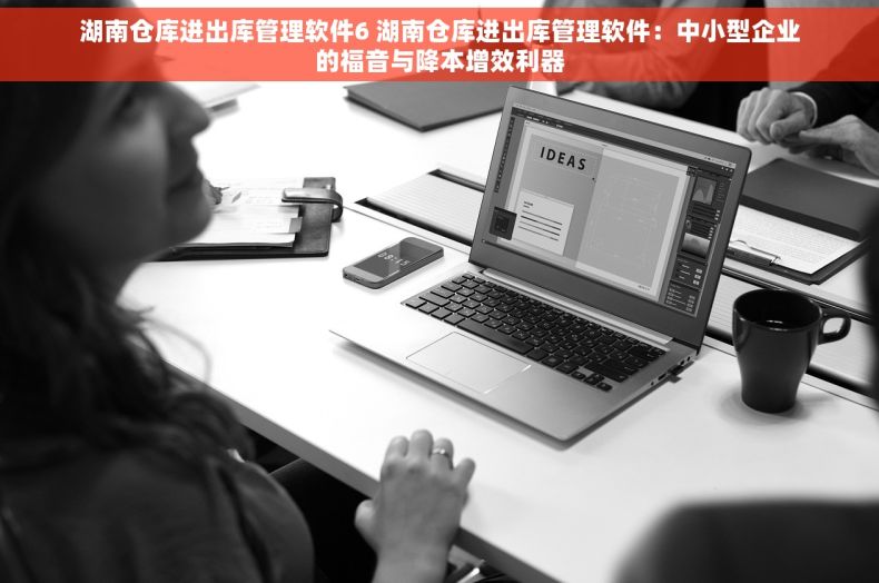 湖南仓库进出库管理软件6 湖南仓库进出库管理软件：中小型企业的福音与降本增效利器