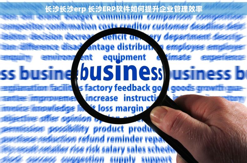 长沙长沙erp 长沙ERP软件如何提升企业管理效率