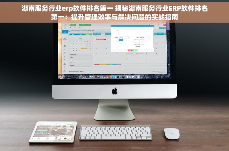 湖南服务行业erp软件排名第一 揭秘湖南服务行业ERP软件排名第一：提升管理效率与解决问题的实战指南