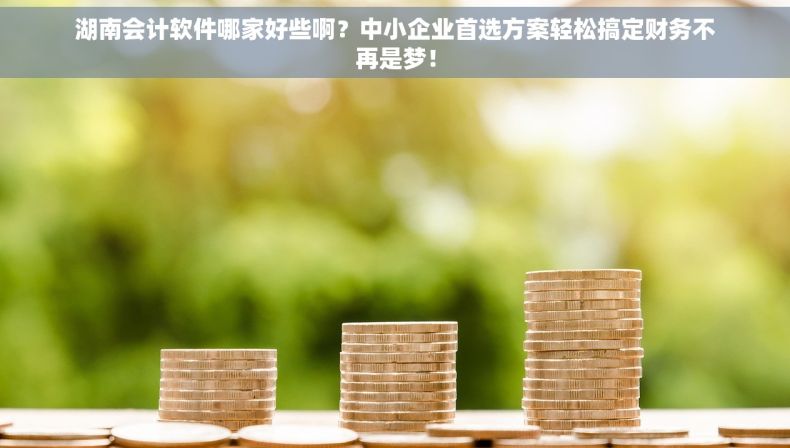 湖南会计软件哪家好些啊？中小企业首选方案轻松搞定财务不再是梦！