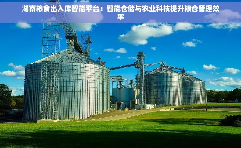 湖南粮食出入库智能平台：智能仓储与农业科技提升粮仓管理效率