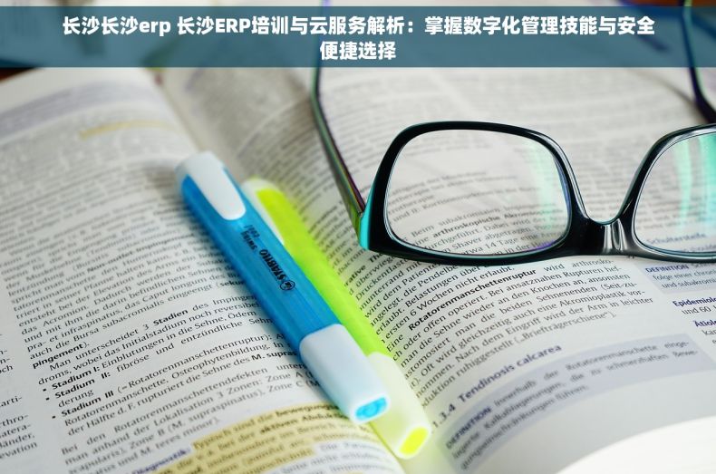 长沙长沙erp 长沙ERP培训与云服务解析：掌握数字化管理技能与安全便捷选择
