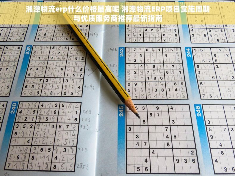 湘潭物流erp什么价格最高呢 湘潭物流ERP项目实施周期与优质服务商推荐最新指南