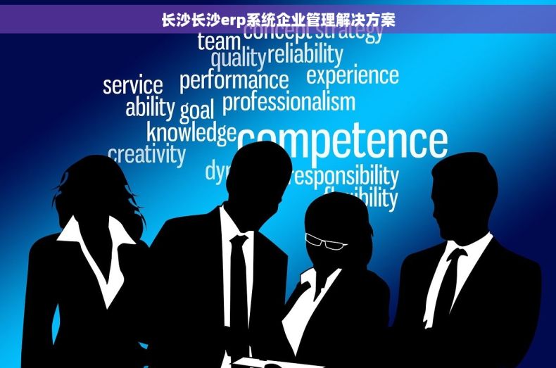 长沙长沙erp系统企业管理解决方案