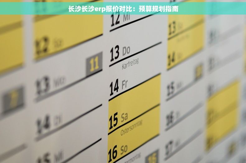 长沙长沙erp报价对比：预算规划指南
