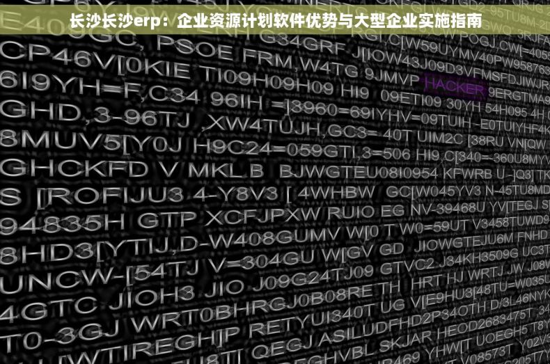 长沙长沙erp：企业资源计划软件优势与大型企业实施指南