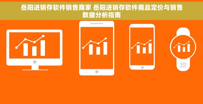 岳阳进销存软件销售商家 岳阳进销存软件商品定价与销售数据分析指南
