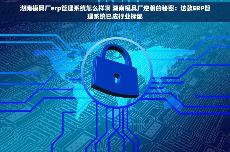 湖南模具厂erp管理系统怎么样啊 湖南模具厂逆袭的秘密：这款ERP管理系统已成行业标配