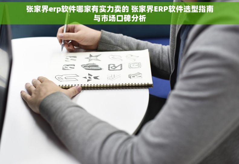 张家界erp软件哪家有实力卖的 张家界ERP软件选型指南与市场口碑分析