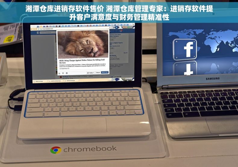 湘潭仓库进销存软件售价 湘潭仓库管理专家：进销存软件提升客户满意度与财务管理精准性