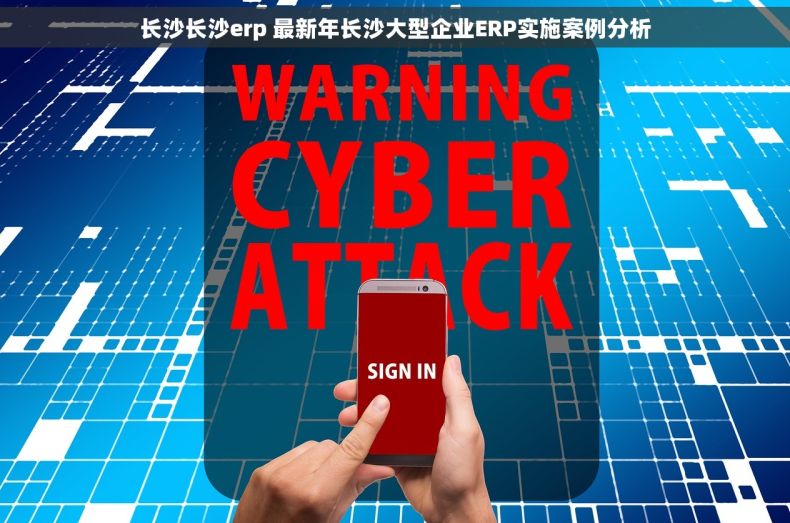 长沙长沙erp 最新年长沙大型企业ERP实施案例分析