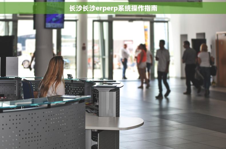 长沙长沙erperp系统操作指南