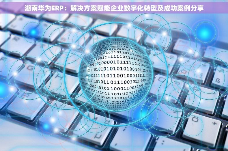 湖南华为ERP：解决方案赋能企业数字化转型及成功案例分享