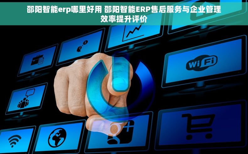 邵阳智能erp哪里好用 邵阳智能ERP售后服务与企业管理效率提升评价