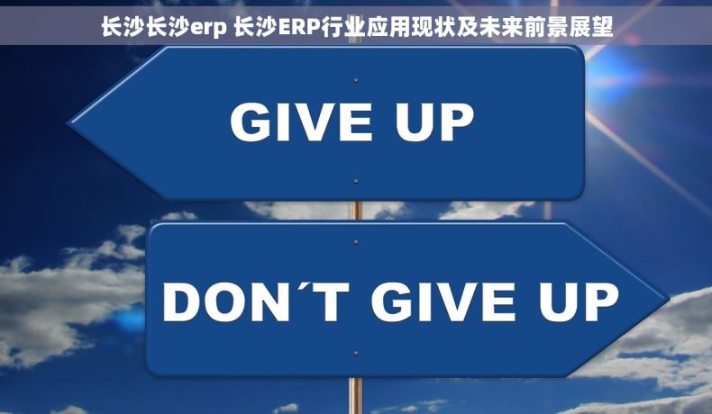 长沙长沙erp 长沙ERP行业应用现状及未来前景展望