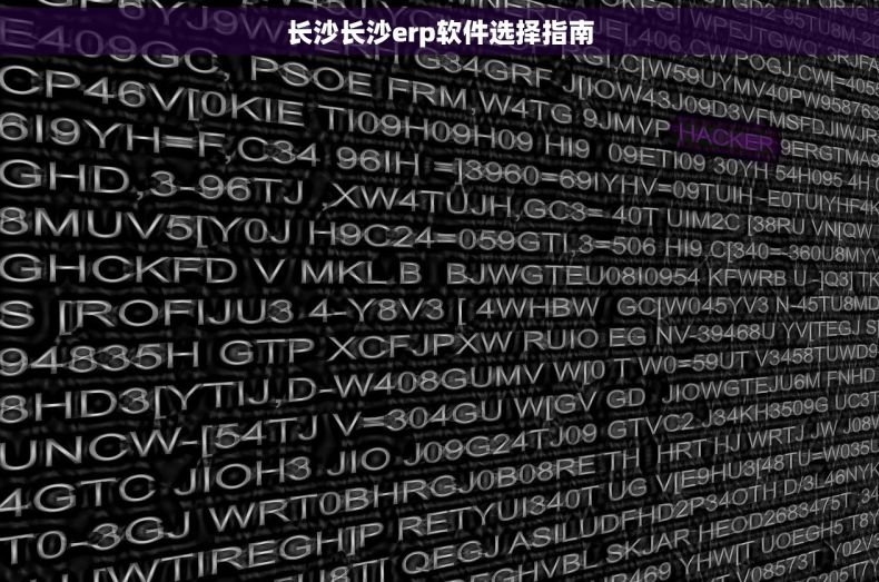 长沙长沙erp软件选择指南