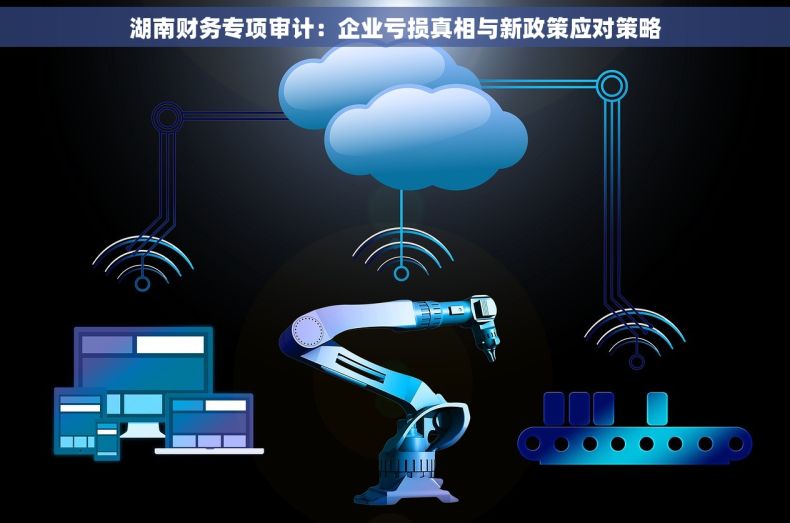 湖南财务专项审计：企业亏损真相与新政策应对策略