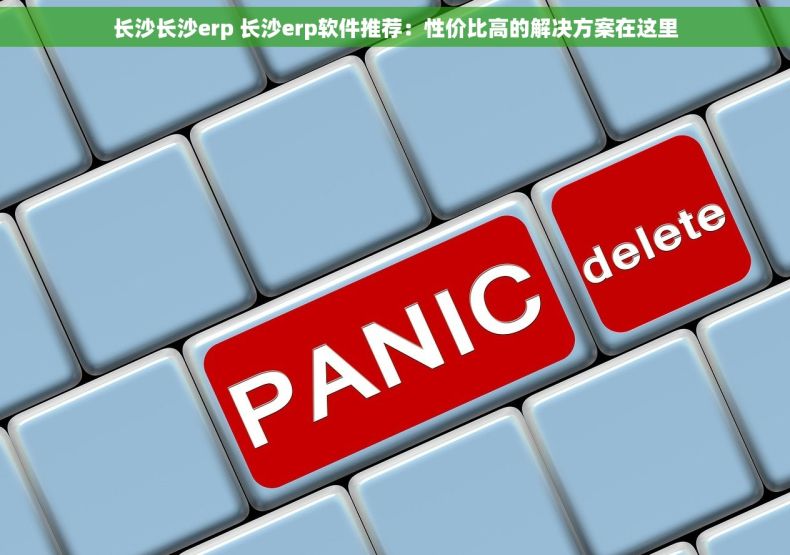 长沙长沙erp 长沙erp软件推荐：性价比高的解决方案在这里