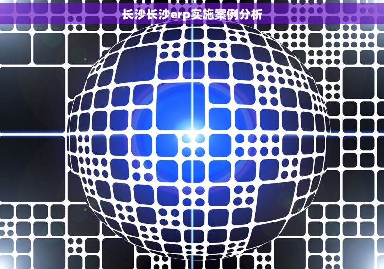 长沙长沙erp实施案例分析