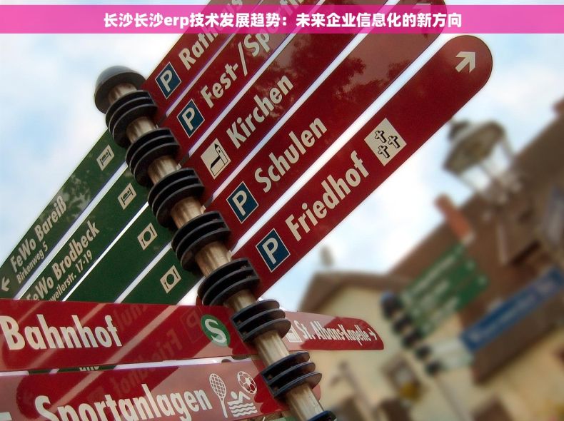 长沙长沙erp技术发展趋势：未来企业信息化的新方向