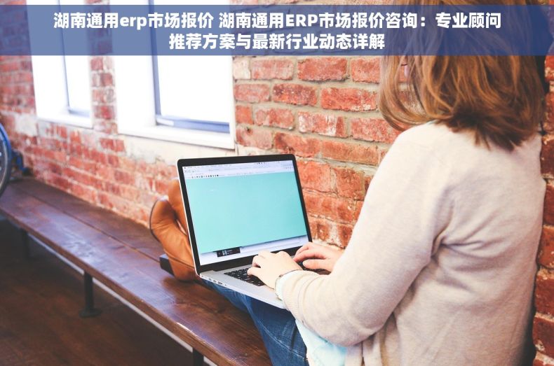 湖南通用erp市场报价 湖南通用ERP市场报价咨询：专业顾问推荐方案与最新行业动态详解