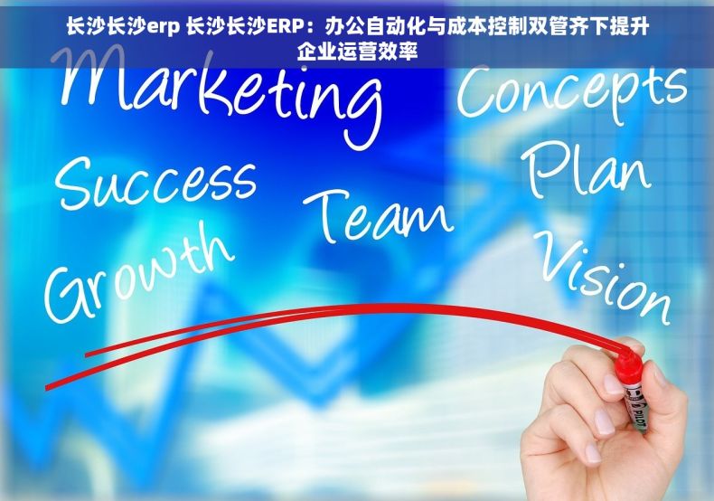 长沙长沙erp 长沙长沙ERP：办公自动化与成本控制双管齐下提升企业运营效率