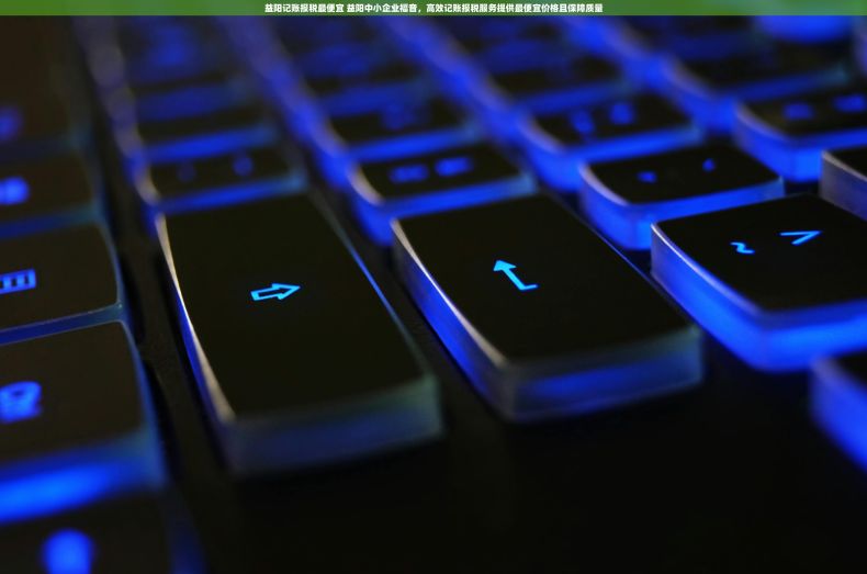 益阳记账报税最便宜 益阳中小企业福音，高效记账报税服务提供最便宜价格且保障质量