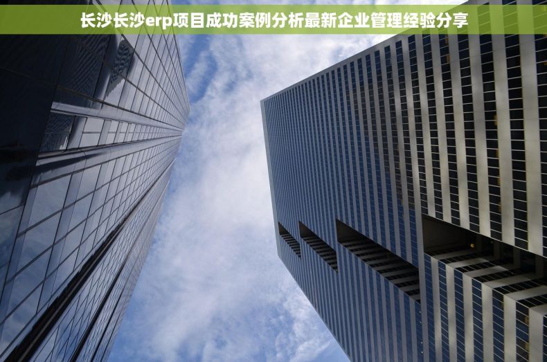长沙长沙erp项目成功案例分析最新企业管理经验分享