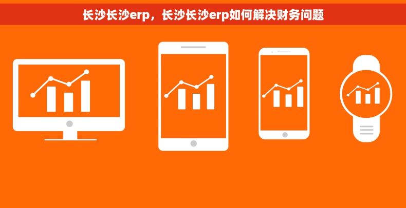 长沙长沙erp，长沙长沙erp如何解决财务问题