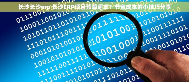长沙长沙erp 长沙ERP项目预算超支？节省成本的小技巧分享