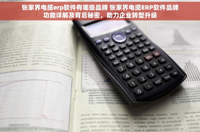 张家界电缆erp软件有哪些品牌 张家界电缆ERP软件品牌功能详解及背后秘密，助力企业转型升级