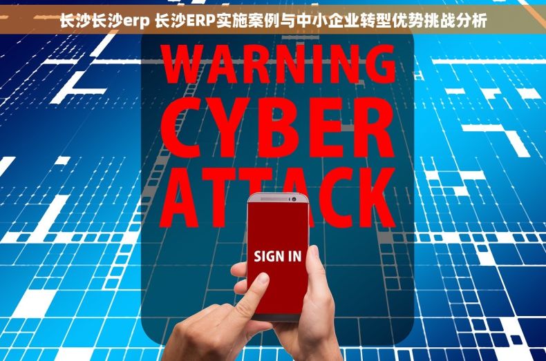 长沙长沙erp 长沙ERP实施案例与中小企业转型优势挑战分析