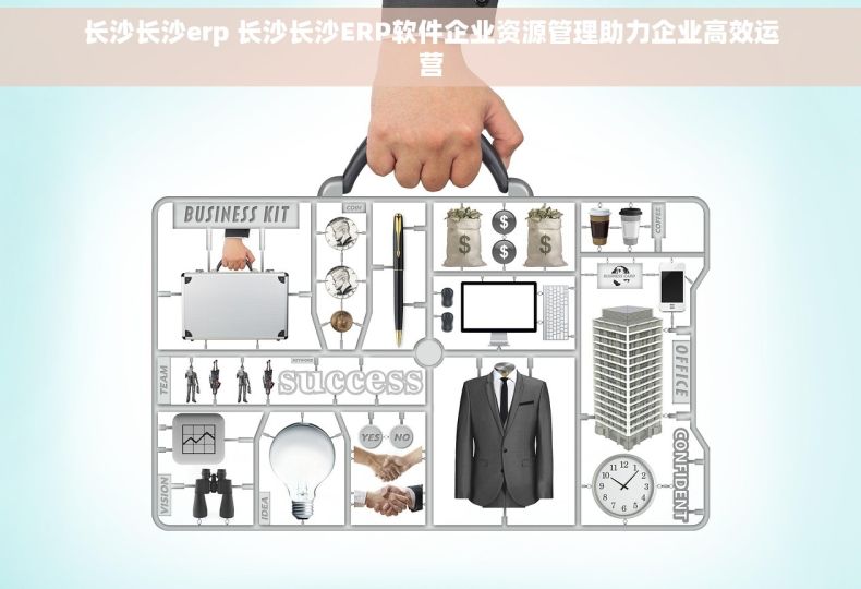 长沙长沙erp 长沙长沙ERP软件企业资源管理助力企业高效运营