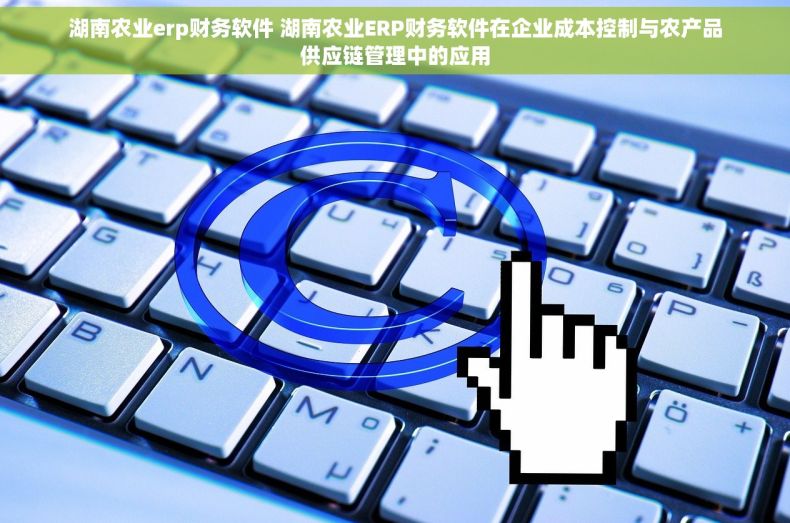 湖南农业erp财务软件 湖南农业ERP财务软件在企业成本控制与农产品供应链管理中的应用