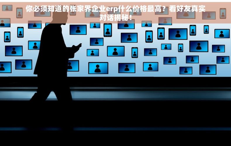 你必须知道的张家界企业erp什么价格最高？看好友真实对话揭秘！