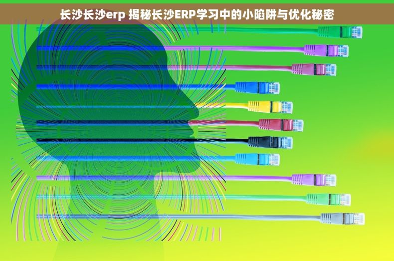 长沙长沙erp 揭秘长沙ERP学习中的小陷阱与优化秘密