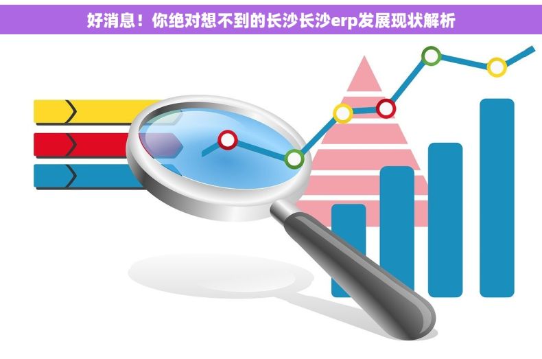 好消息！你绝对想不到的长沙长沙erp发展现状解析
