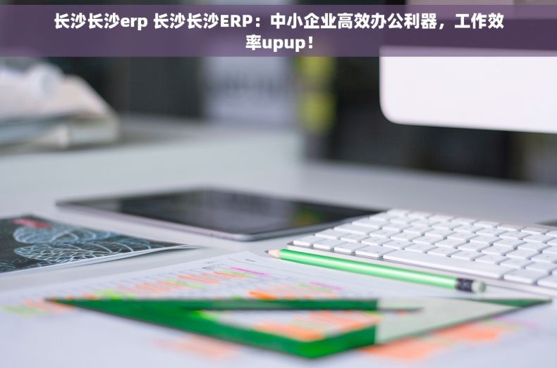 长沙长沙erp 长沙长沙ERP：中小企业高效办公利器，工作效率upup！