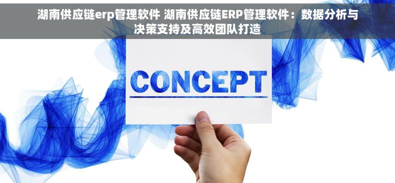湖南供应链erp管理软件 湖南供应链ERP管理软件：数据分析与决策支持及高效团队打造