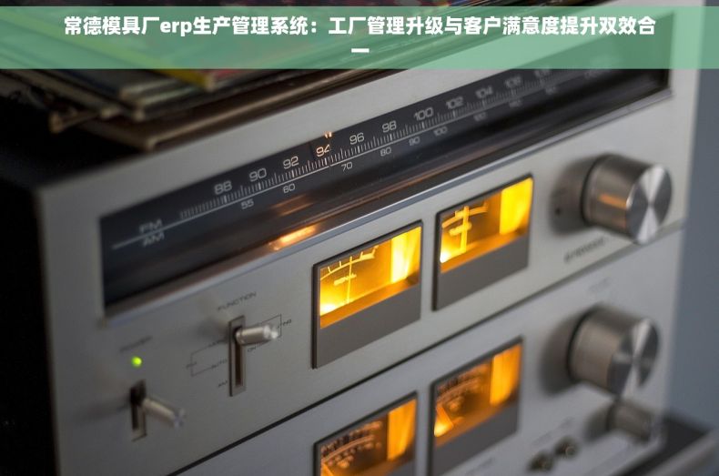 常德模具厂erp生产管理系统：工厂管理升级与客户满意度提升双效合一