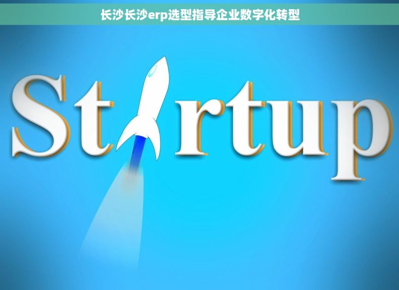 长沙长沙erp选型指导企业数字化转型